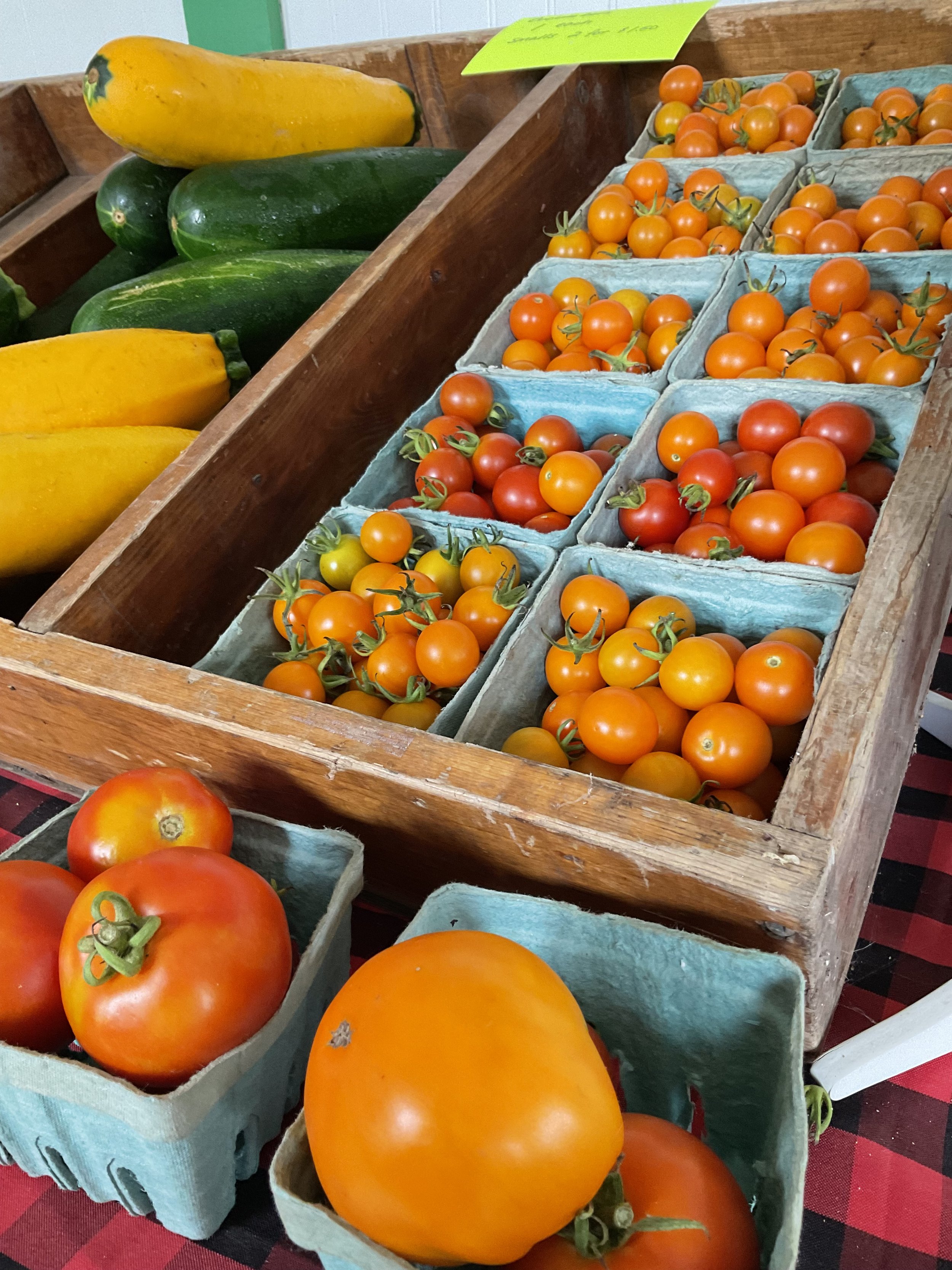 Various fresh tomatoes and zucchinis displayed in wooden and cardboard containers.