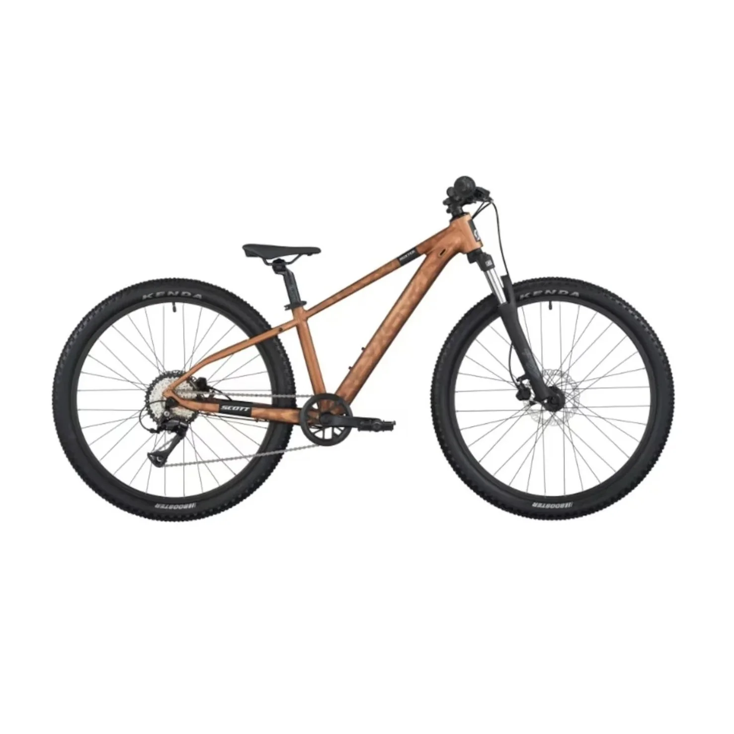ScottRoxter600Brun26.jpg
