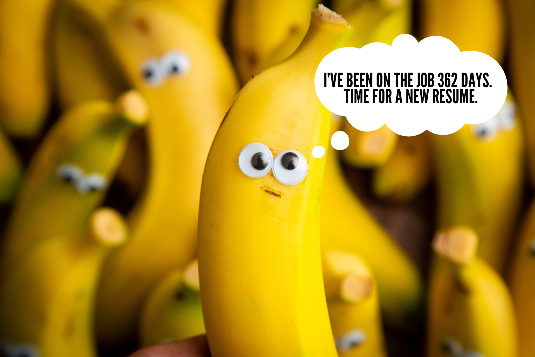 Everybody Hates You When You Are 23