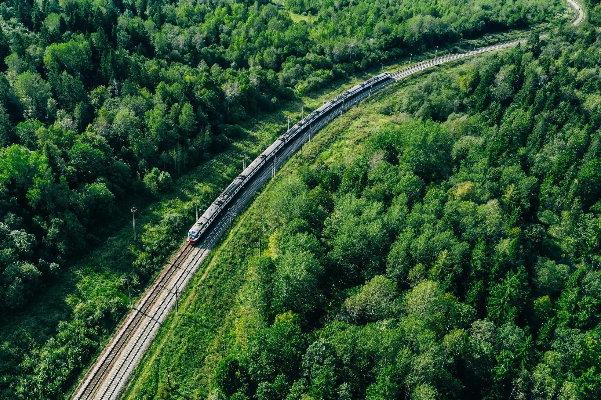 An overhead view of a train traveling through a lush green forest on curved tracks.