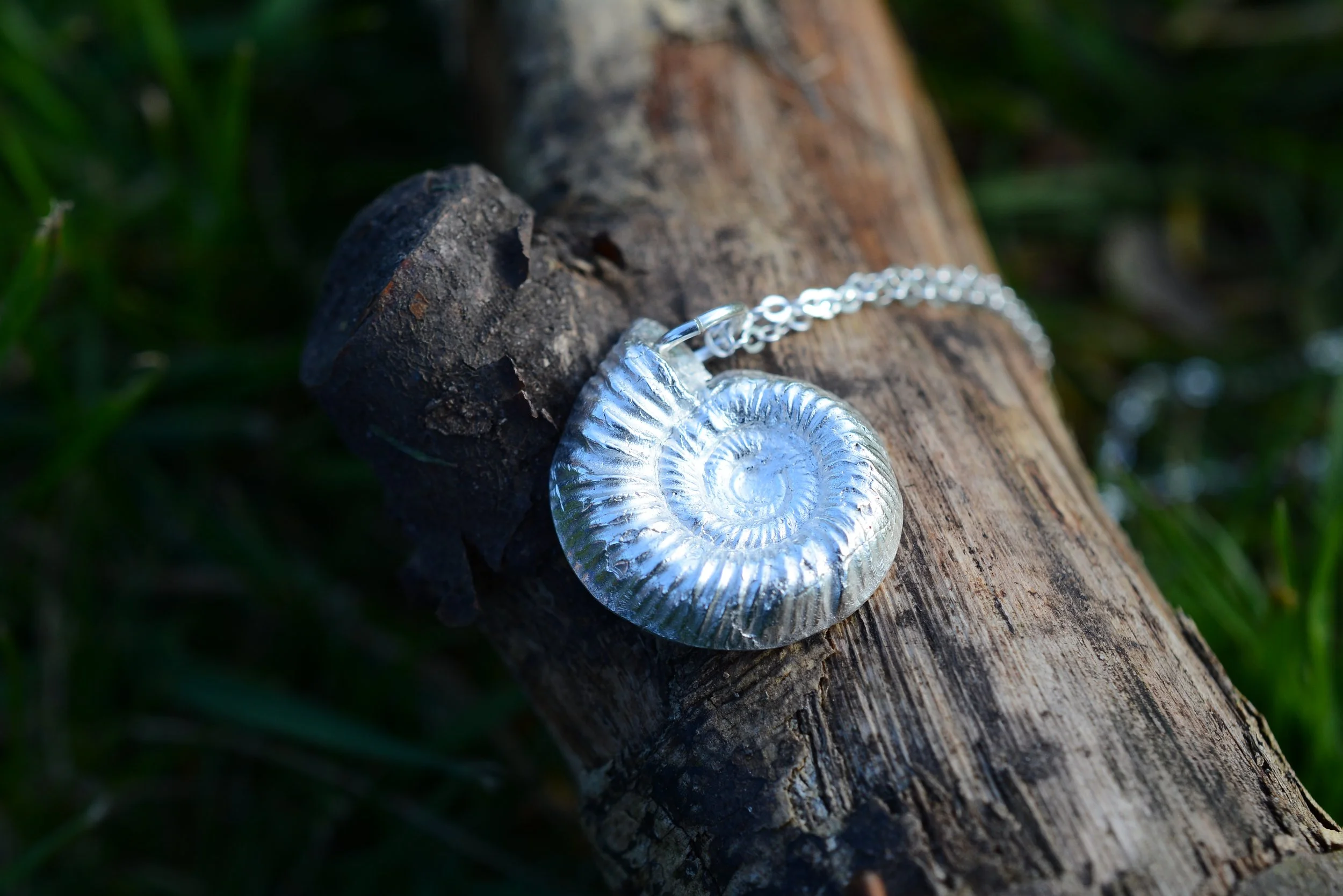 Ancient Tides Ammonite Silver Necklace