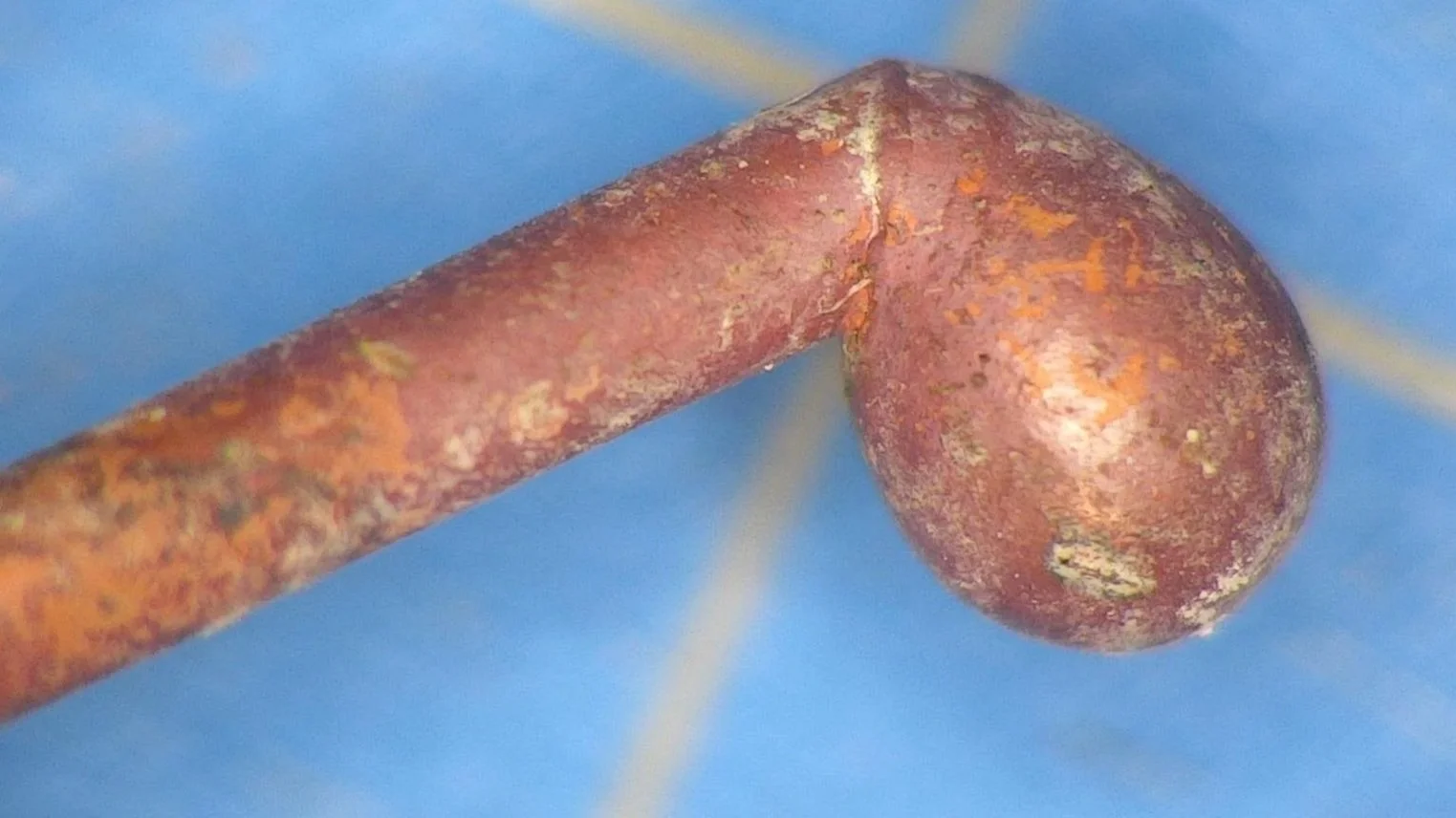 Close-up of a rusty nail with a round head on a blue background.