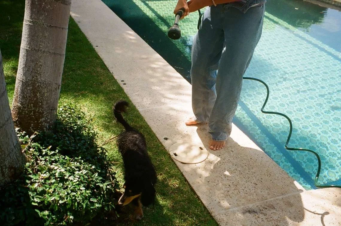 Person watering plants by a poolside with a garden hose, barefoot, with a small black and brown dog nearby.