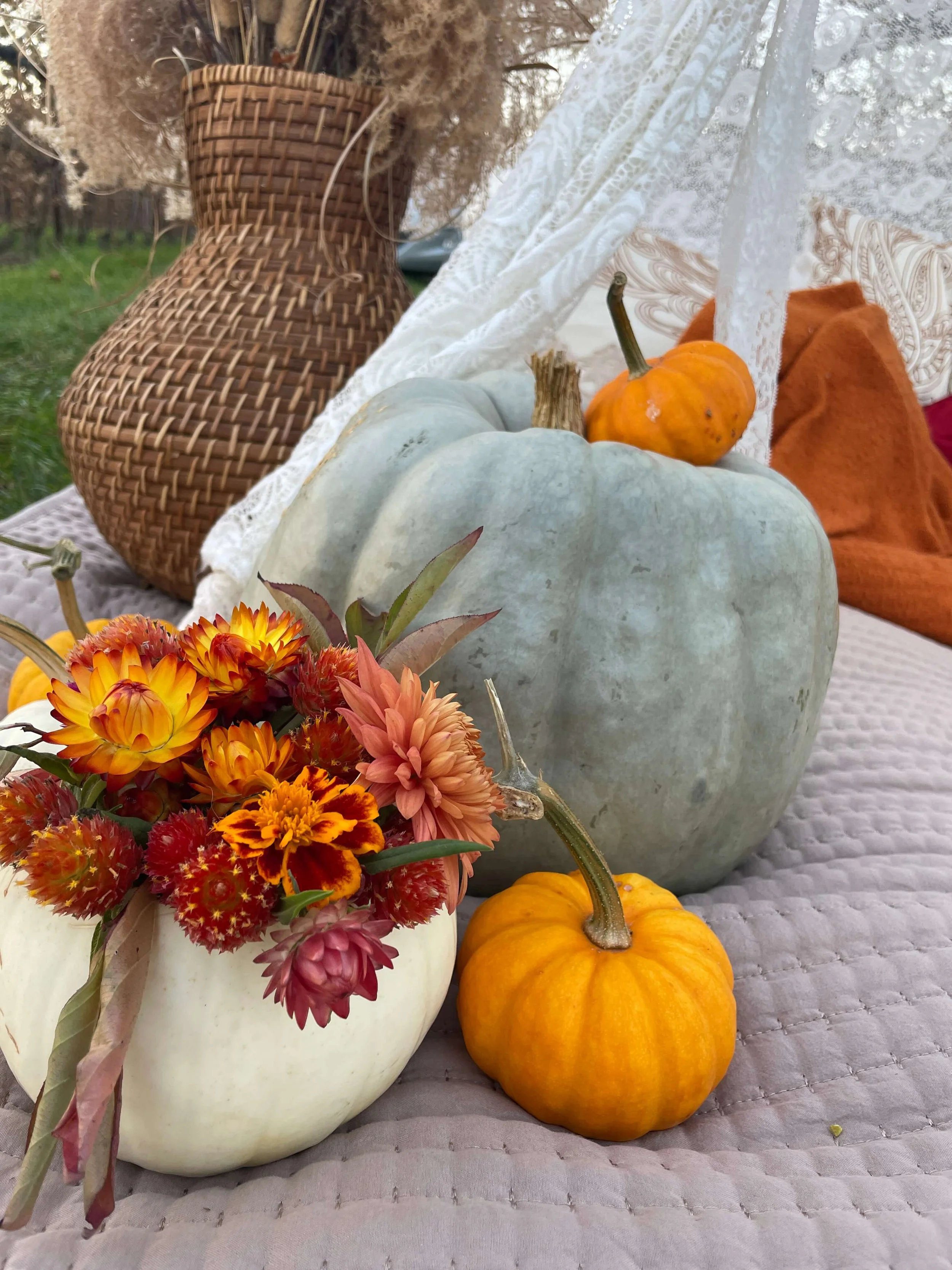 Autumnal display featuring a large light gray pumpkin, a small orange pumpkin, a white pumpkin with colorful flowers inside, set on a quilted cloth outdoors with a wicker vase and lace fabric in the background.