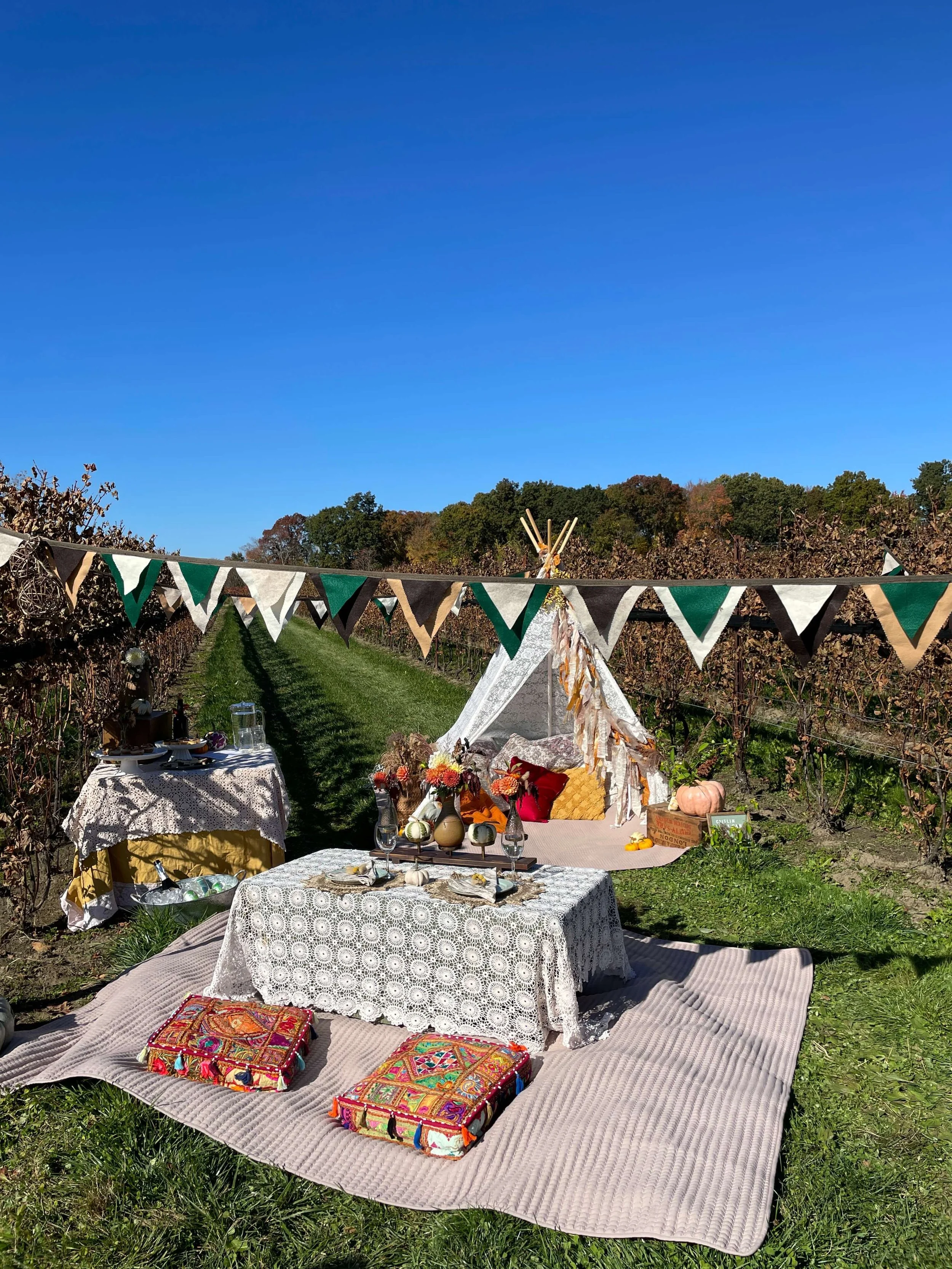Picnic and Lace Tent in Vineyard