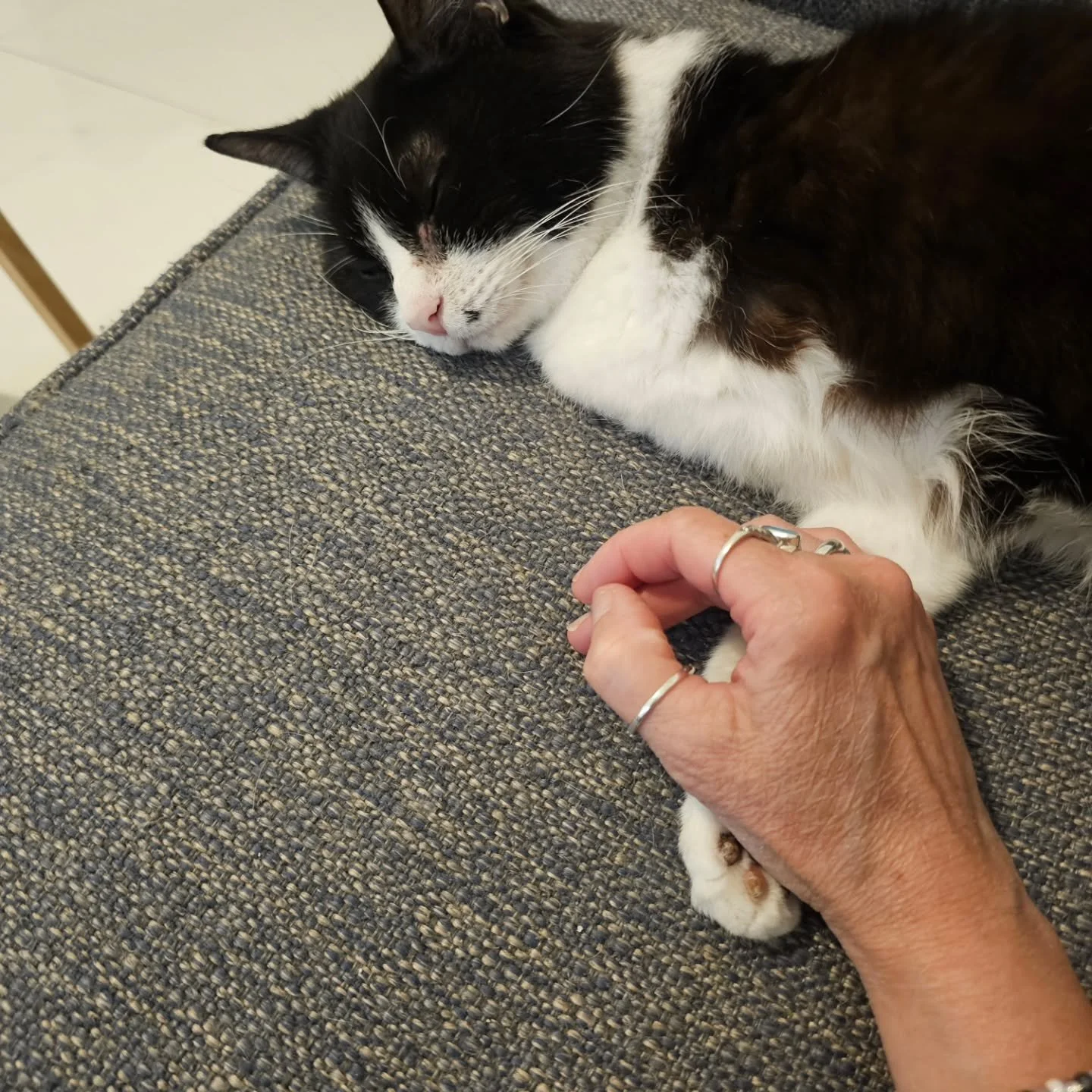 Bella and I watching the Olympics.