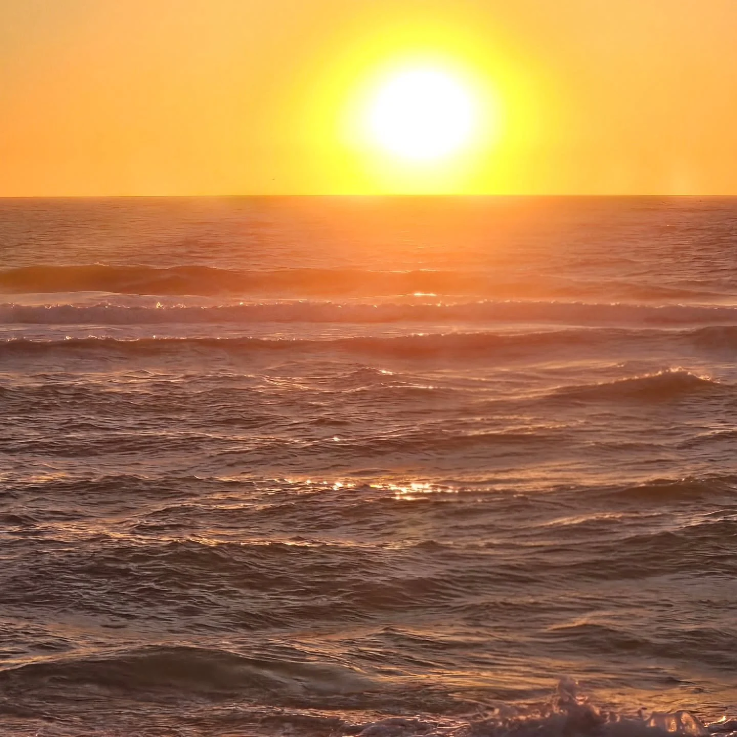 Sunset at Venice Beach!