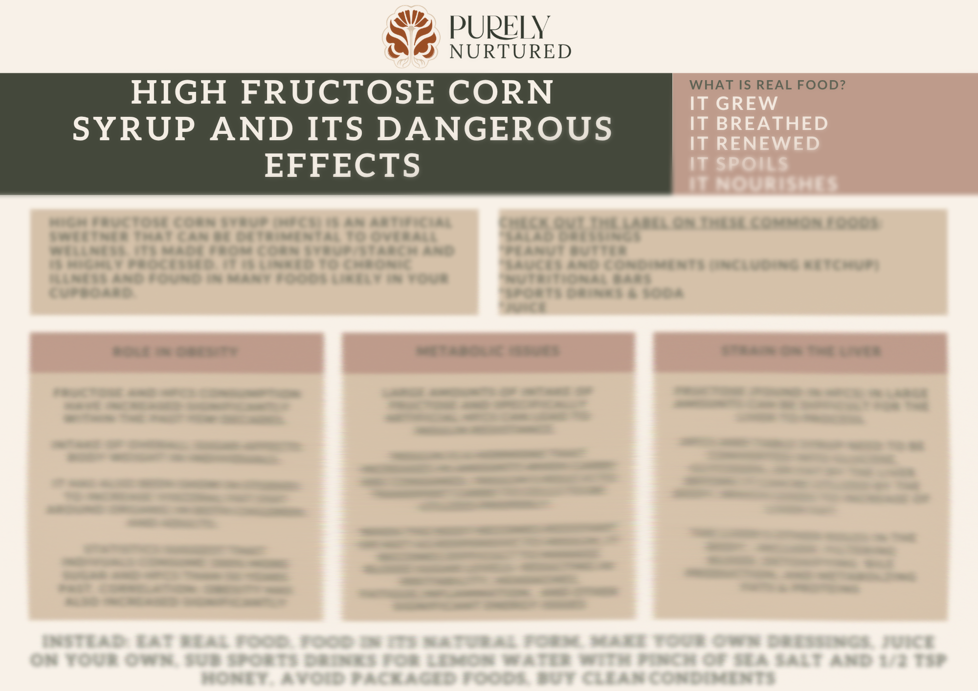 HFCS informational Graphic_Preview.png