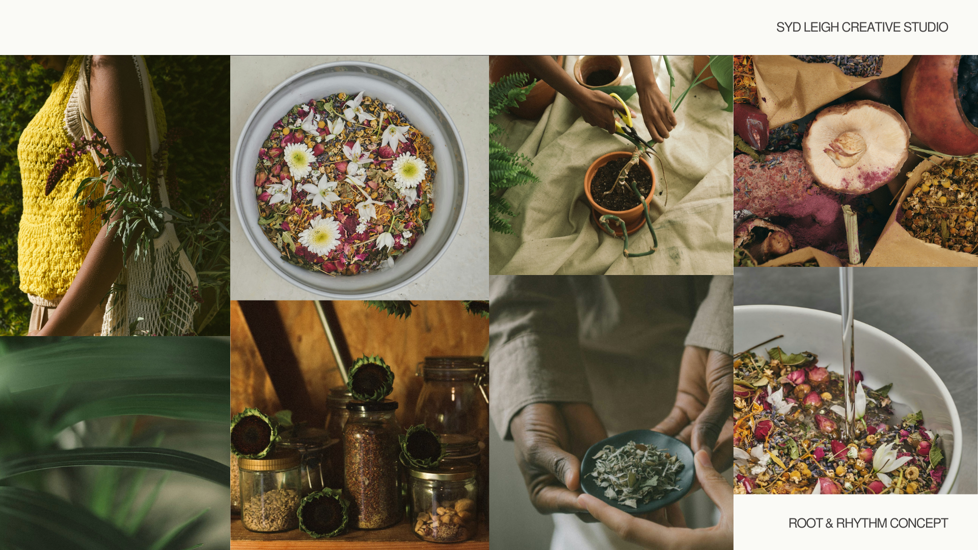 Root & Rhythm Concept.png