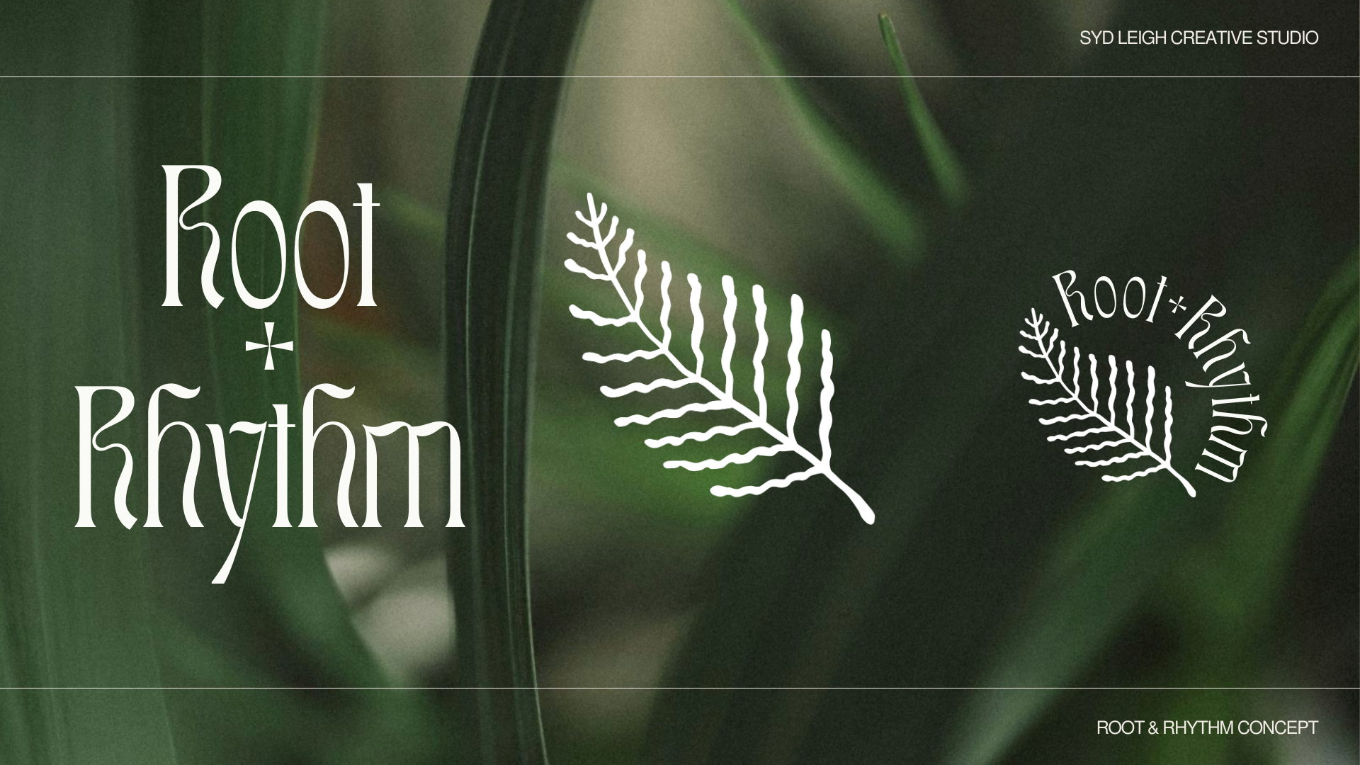 Root & Rhythm Concept (3).png