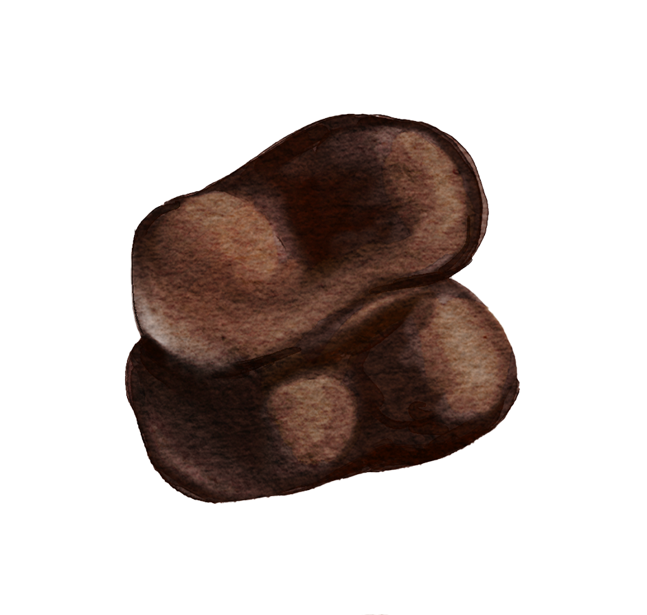 Almond cluster.png