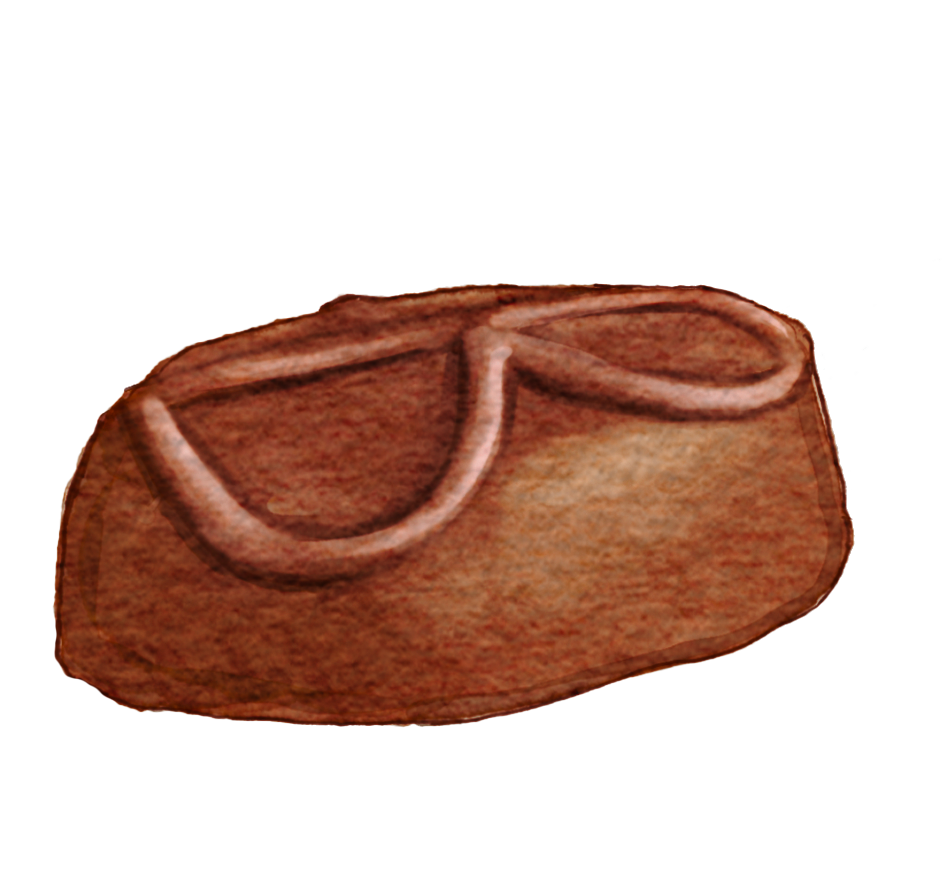 Blackcurrant.png