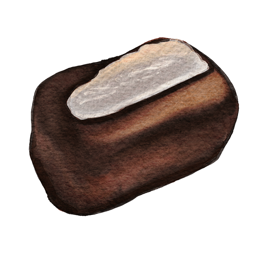 Coconut.png