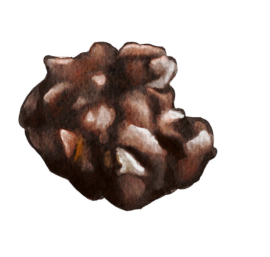 Fruit & Nut cluster.png