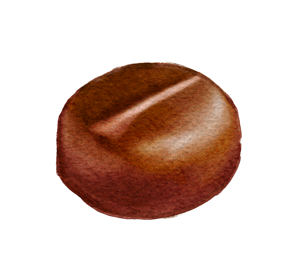 Ginger cream.png