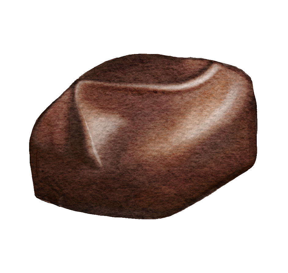 Lime.png