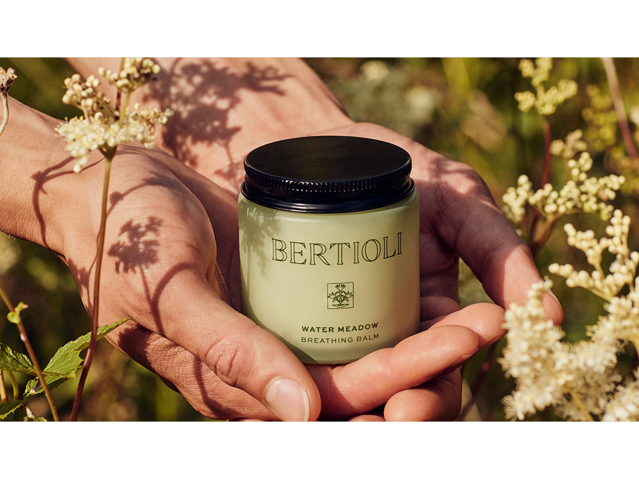 BERTIOLI
The nature of beauty
