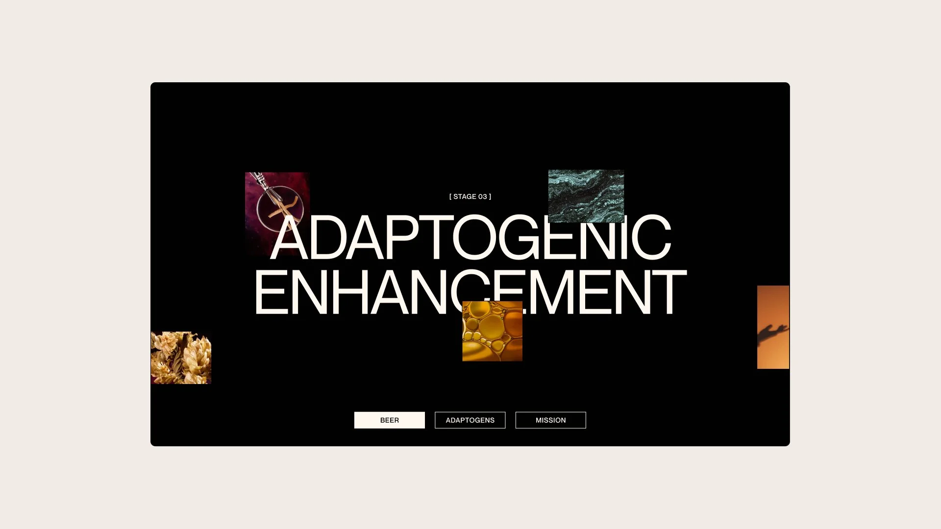 Adaptogenic Enhancement_Collider Website_Duzi St.jpg