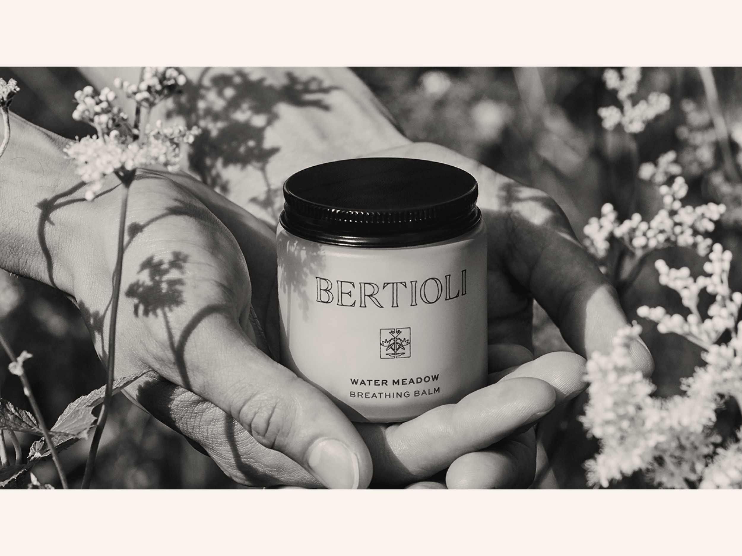 BERTIOLI
Coming Soon