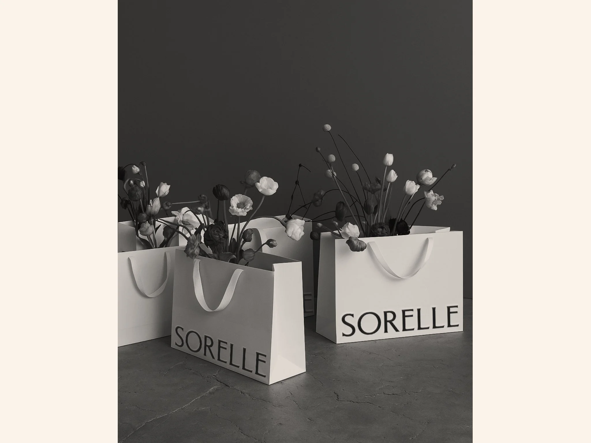 SORELLE
Coming Soon