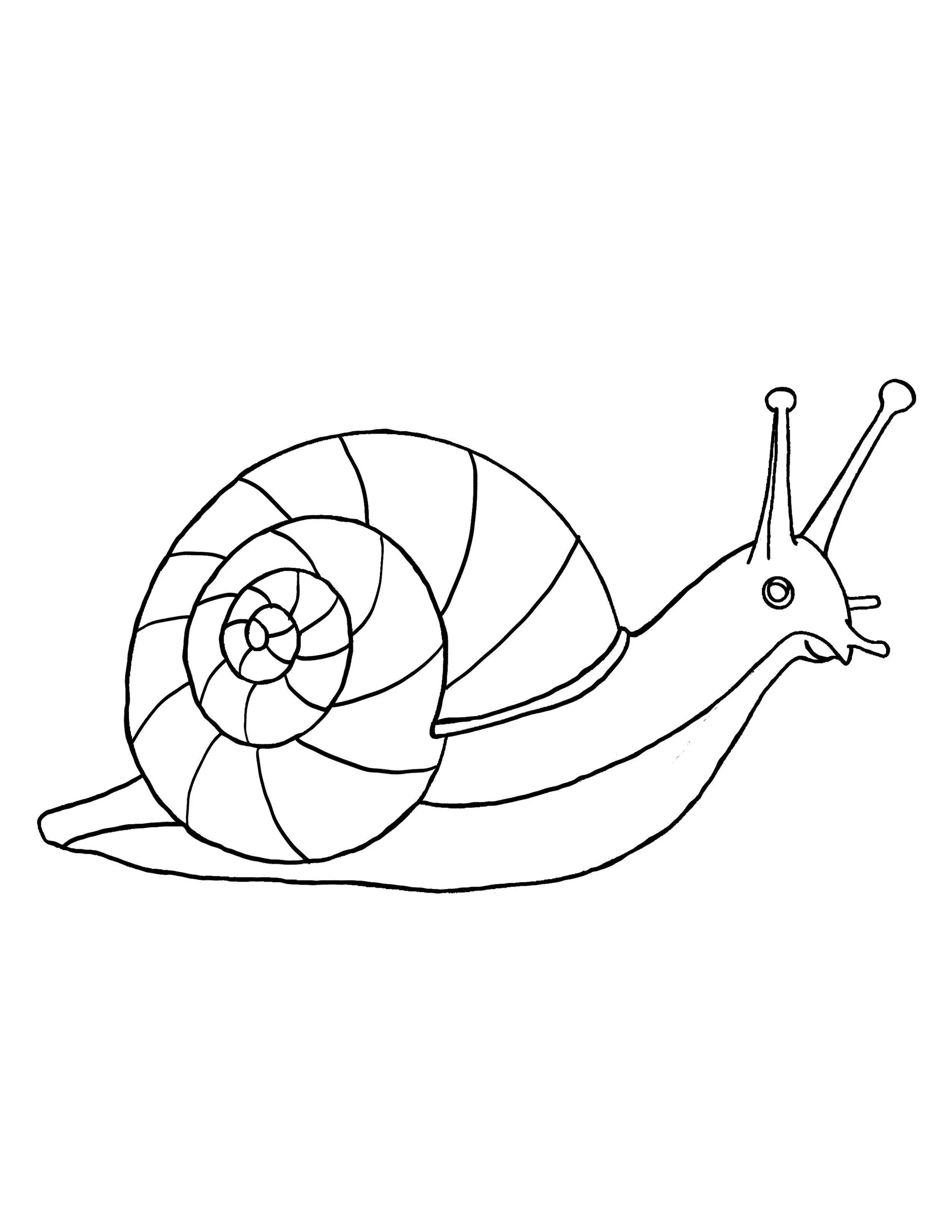 Snail.jpg