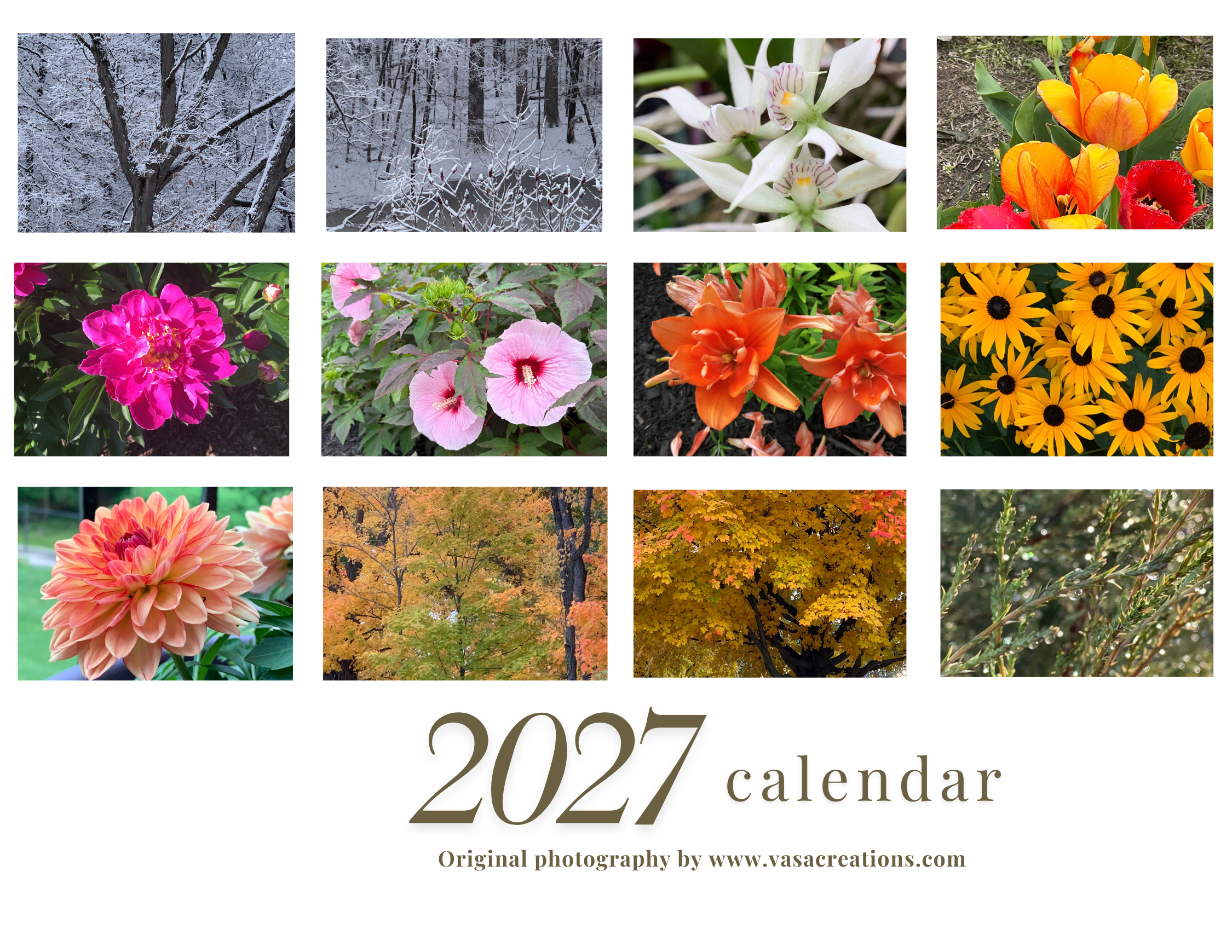 Neutral Minimalist 2027 Calendar Wall Calendar.png