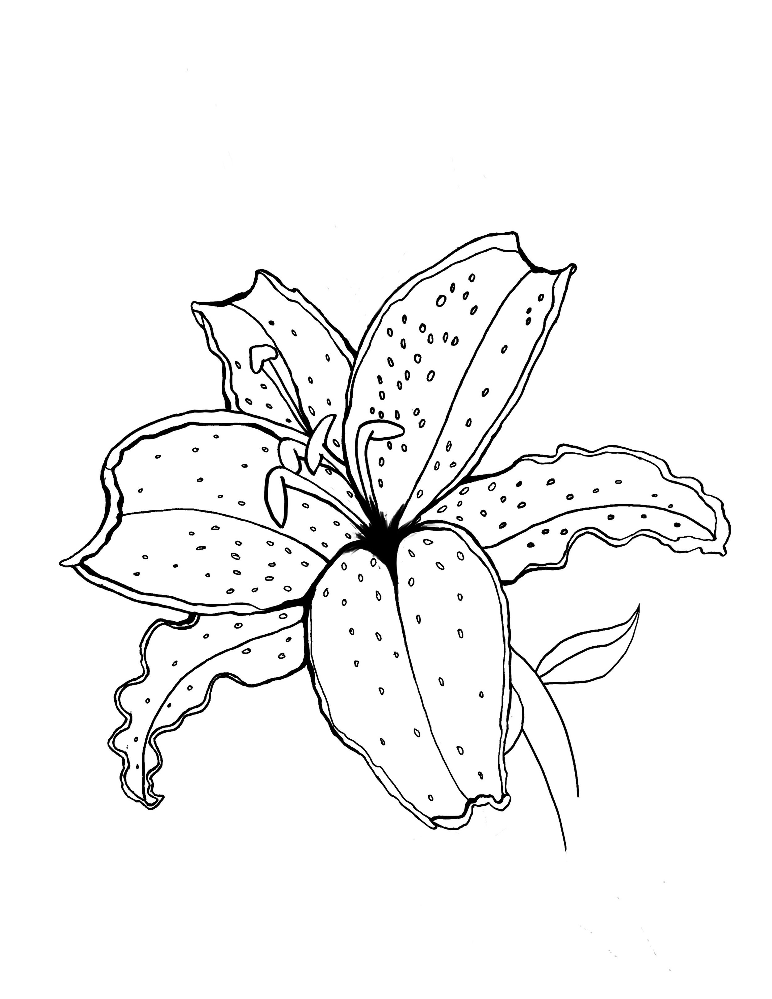Flower.jpg