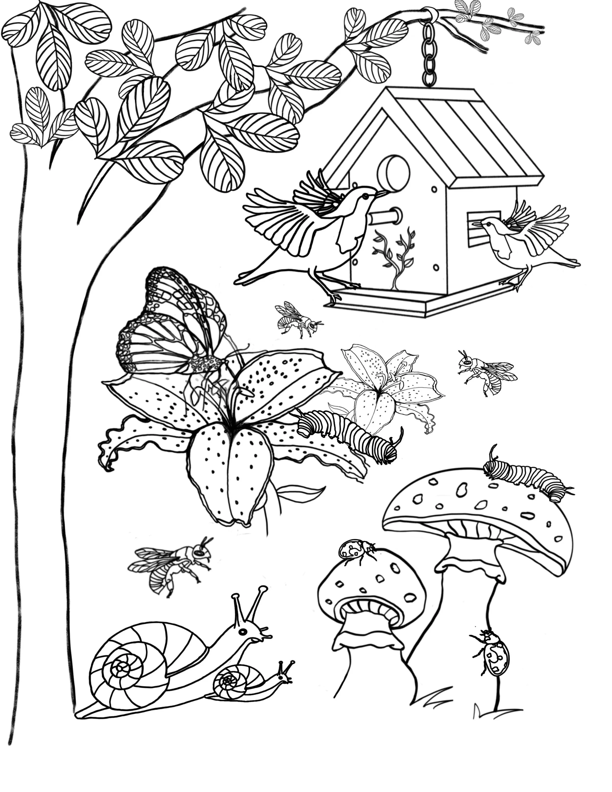 Garden Friends.jpg