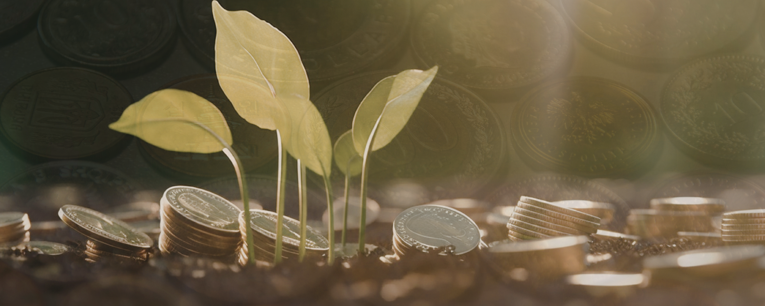 Veritas Accounting and Advisory, money, financial growth