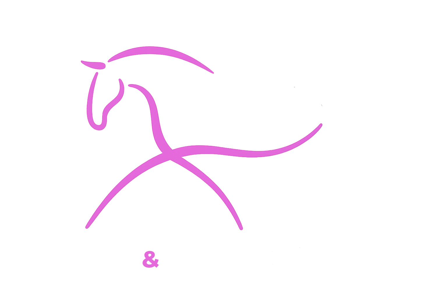 Hope &amp; Horses Rehab