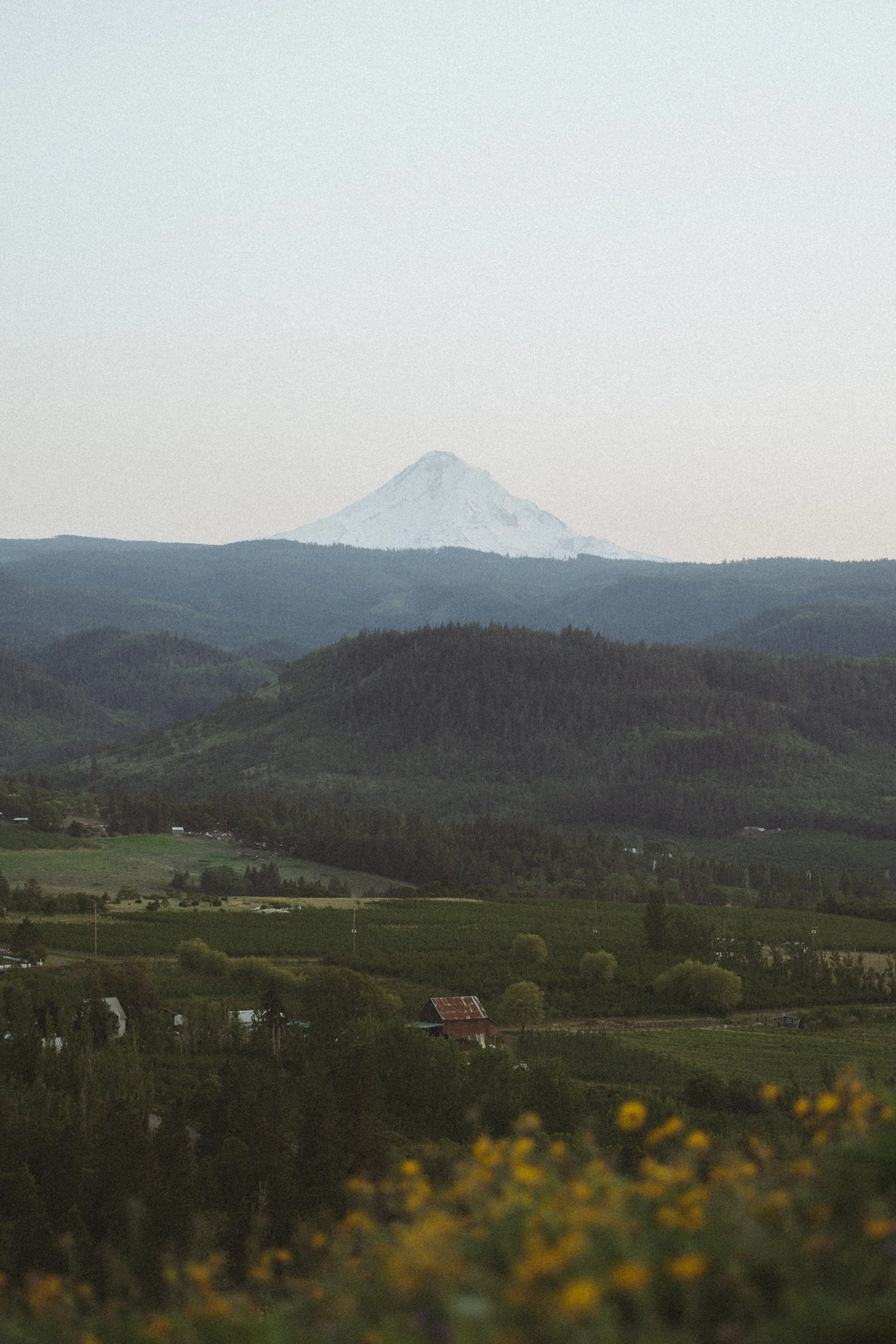 Calm neutral space representing relationship therapy and emotional connection.