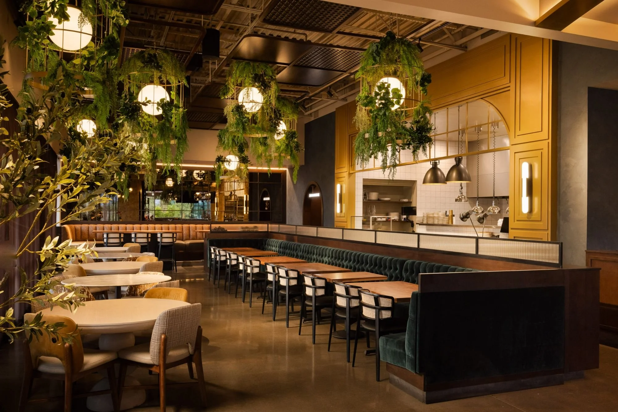Hospitality Interior Designers in Scottsdale, AZ | Social Design Studio