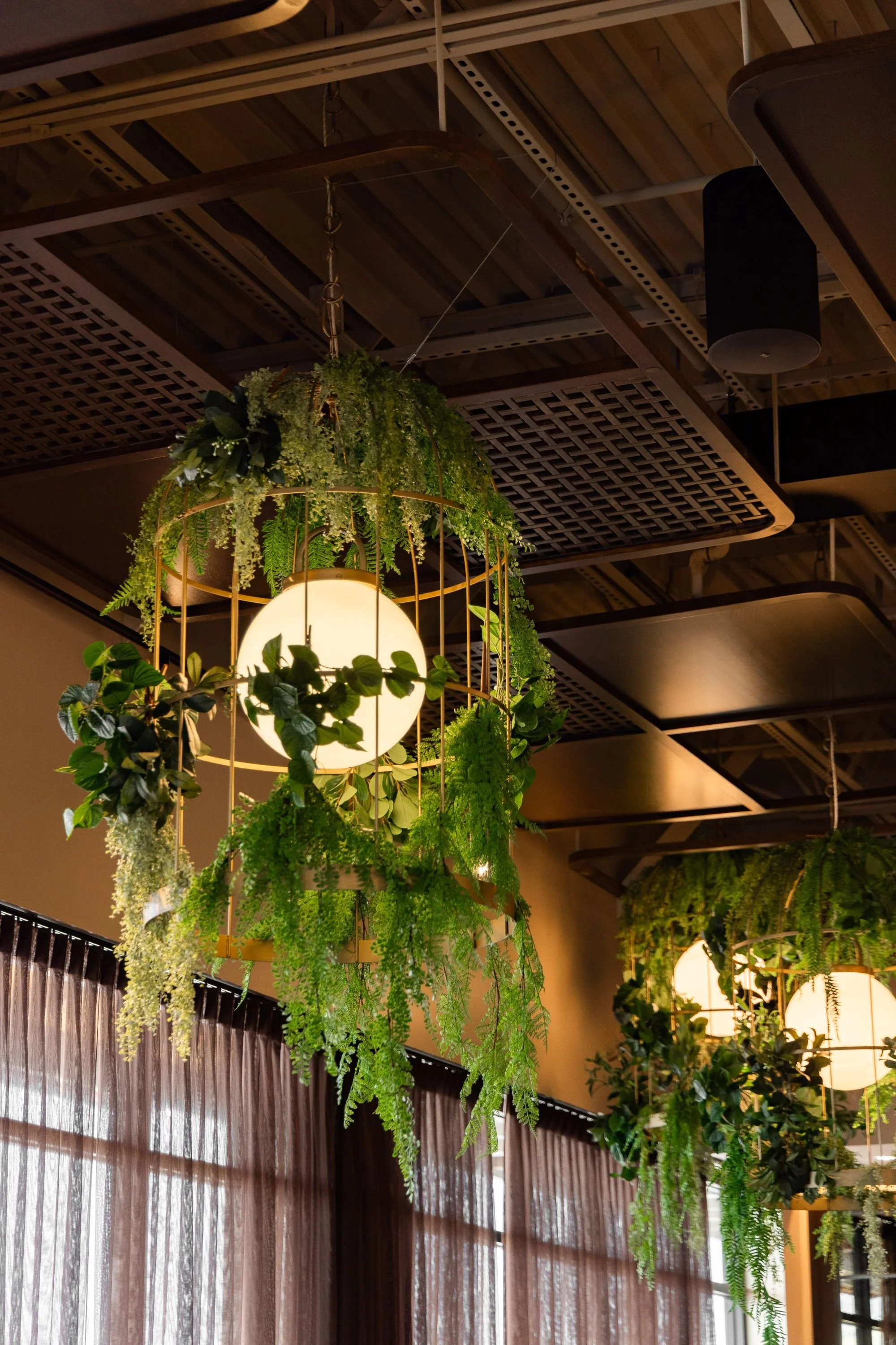 sparrow-restaurant-outdoor-patio-greenery-ceiling-design.jpeg
