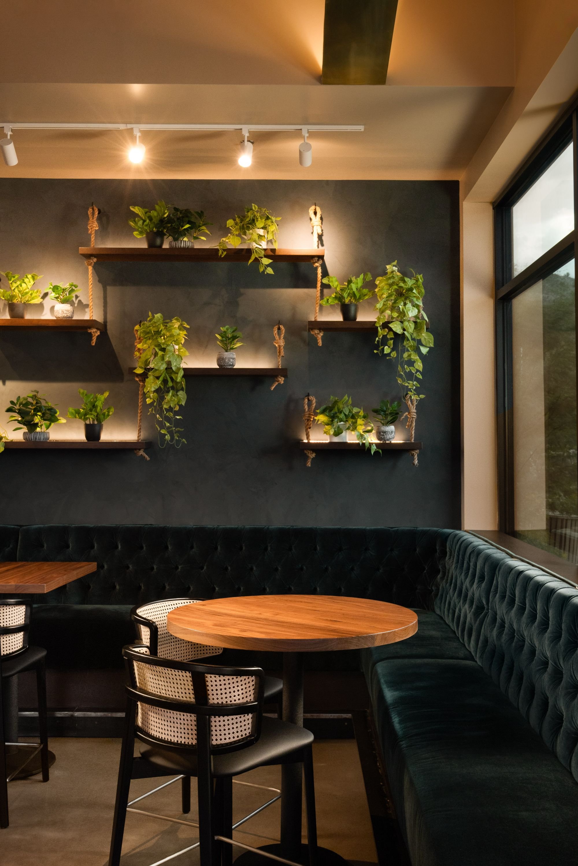 sparrow-restaurant-dark-booth-seating-plant-wall-design.jpeg
