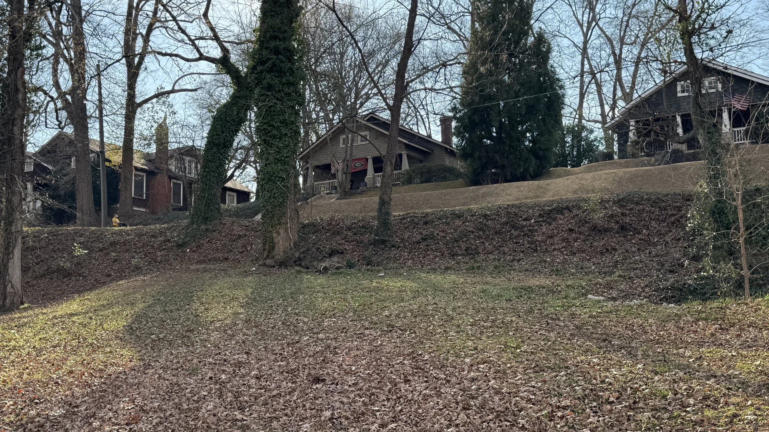 Hillside neighborhood houses