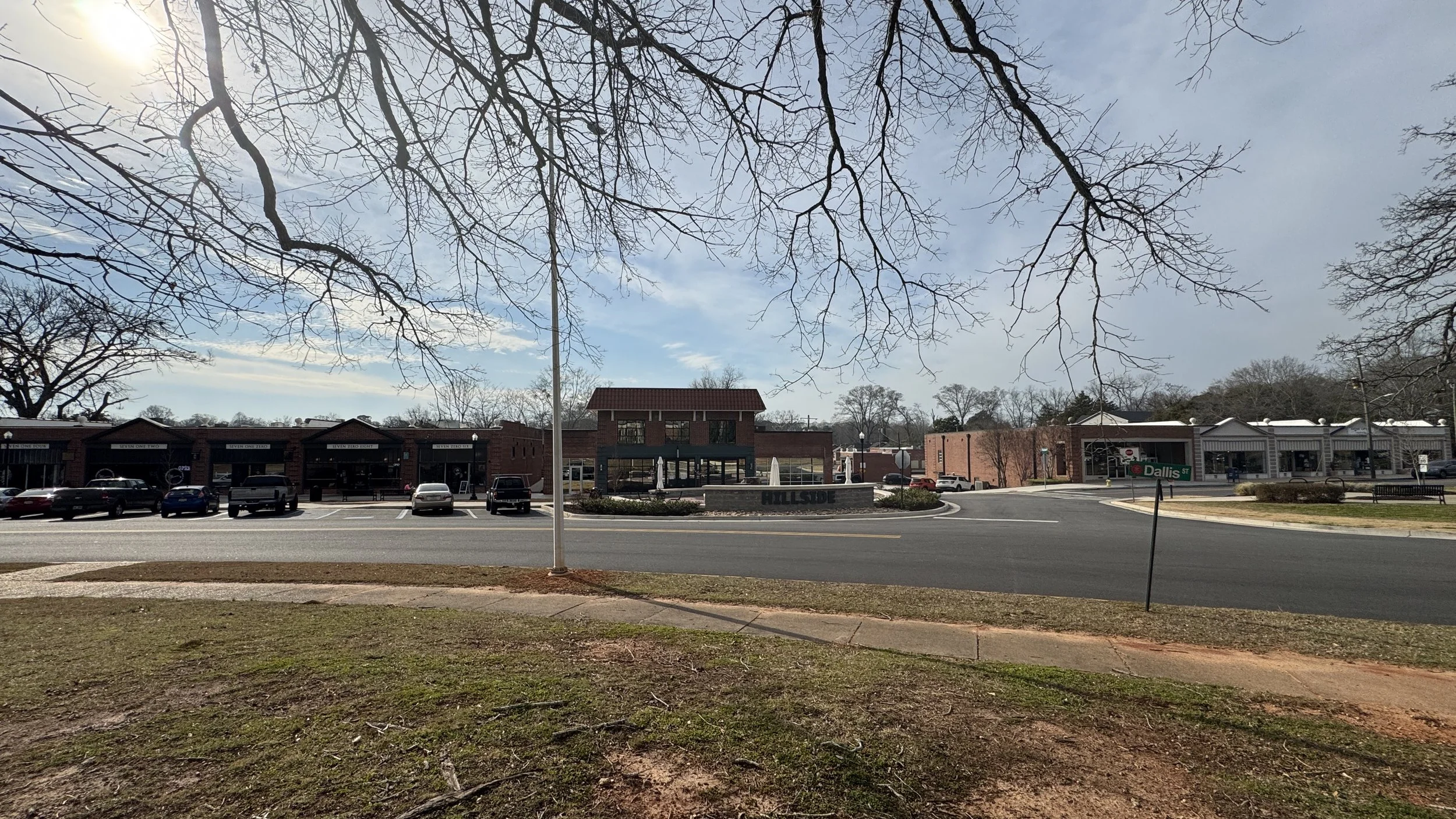 Panoramic view of Hillside