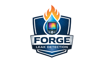 Forge Leak Detection