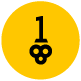 OneKey MLS key icon