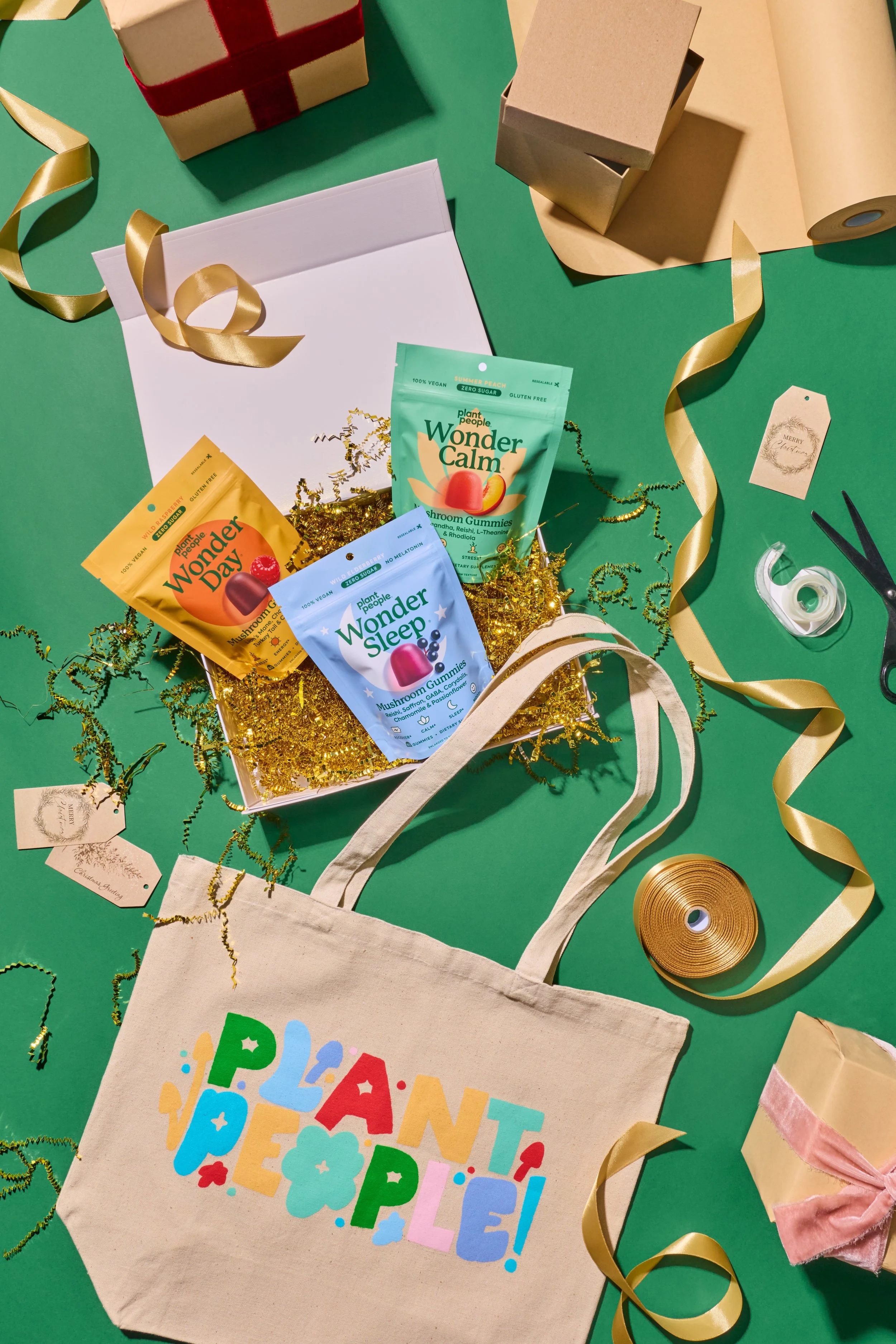 SN_PlantPeople_Holiday25_GiftWrap_12893.jpeg