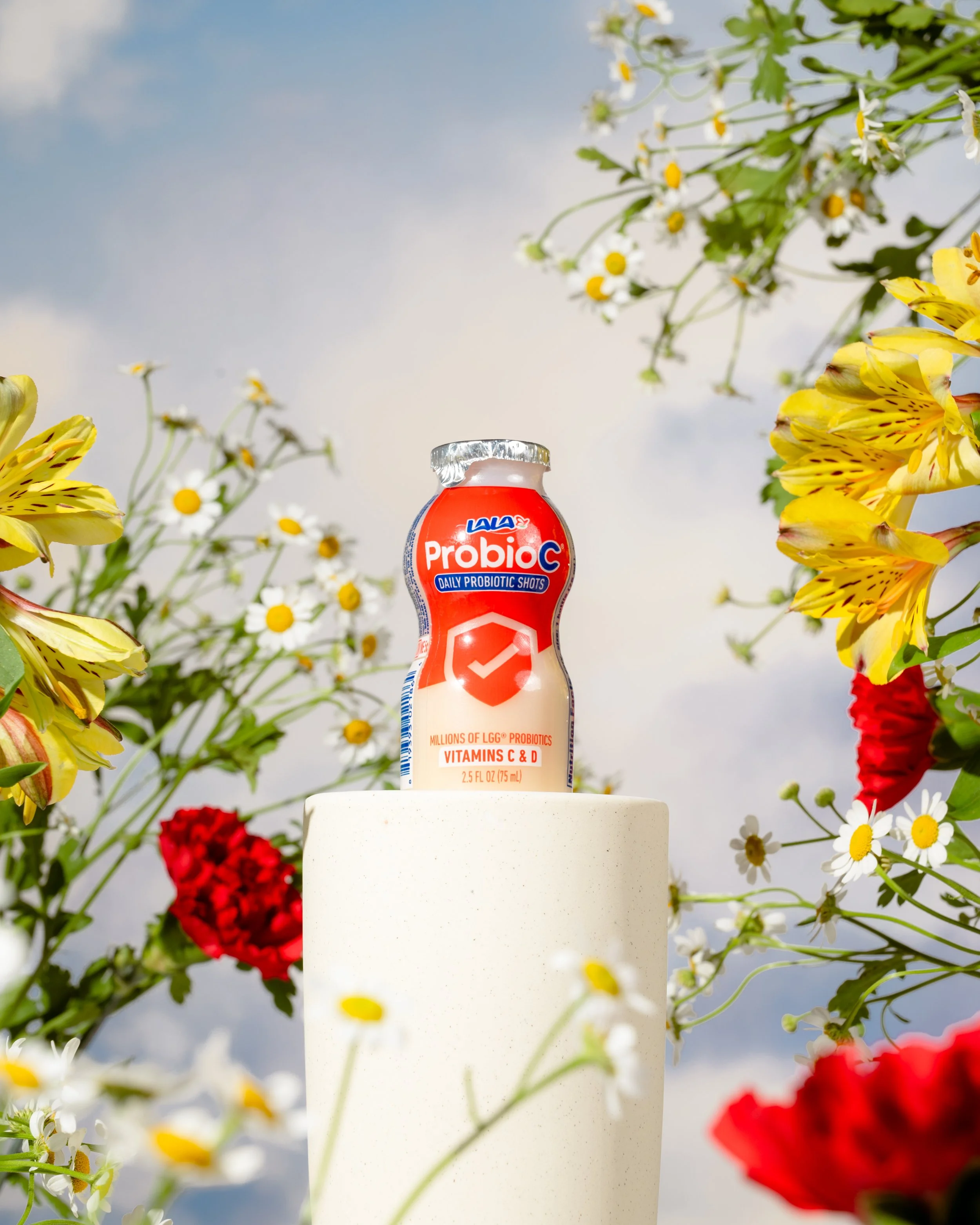 LALA_25_Social_03_ProbioC-012-3.jpg