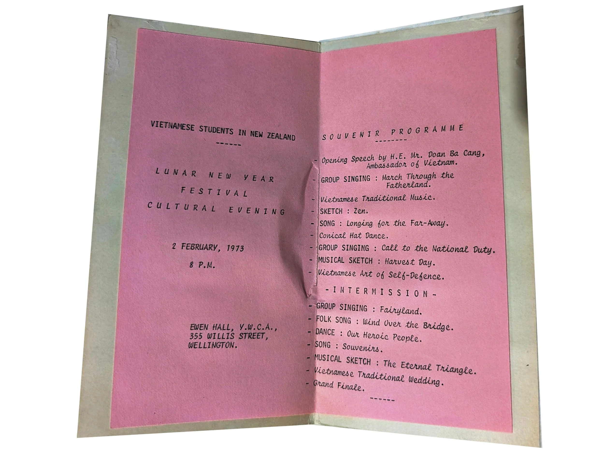 Vietnamese Students in New Zealand (1).jpg