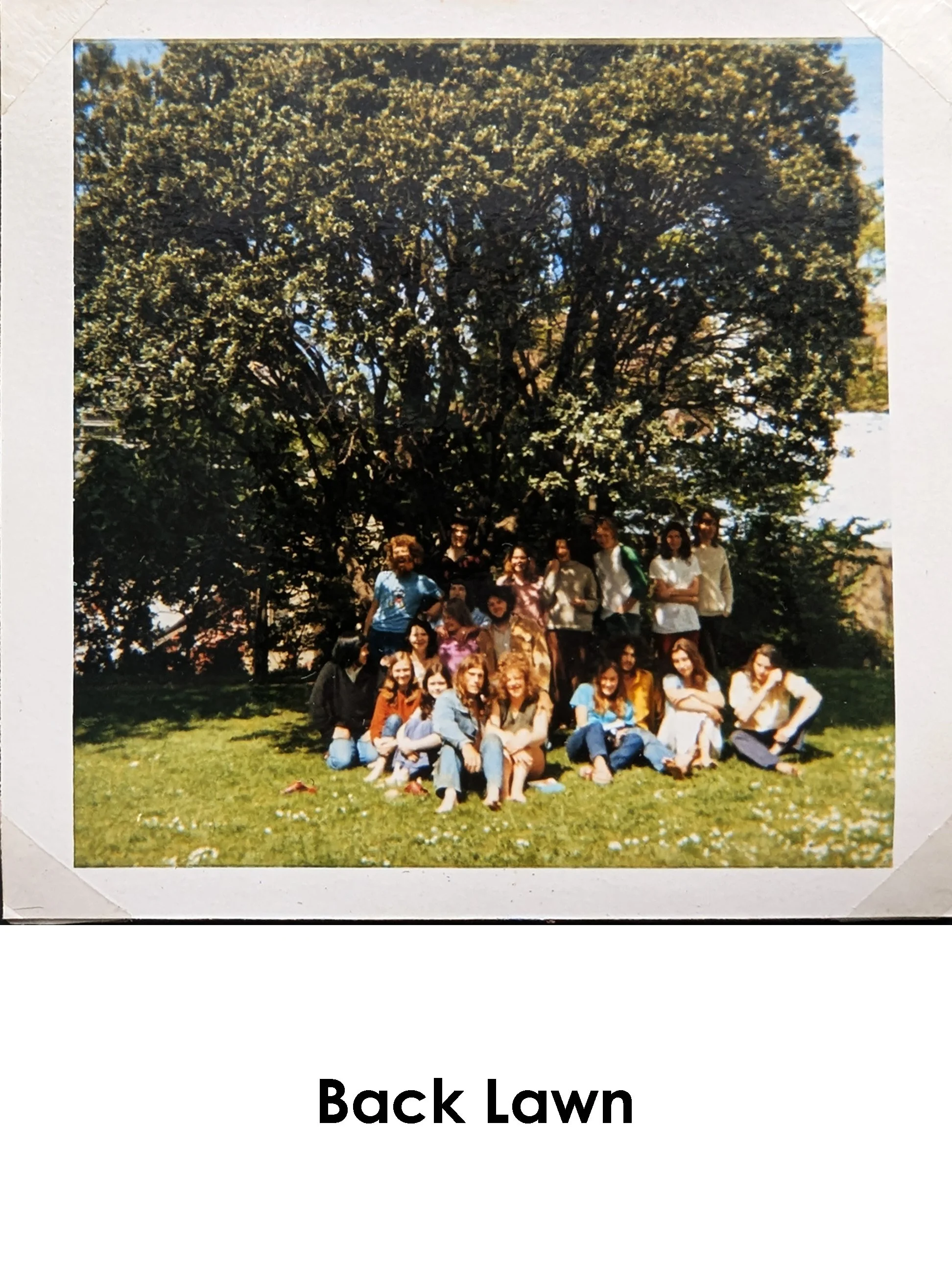 Back Lawn (1).jpg