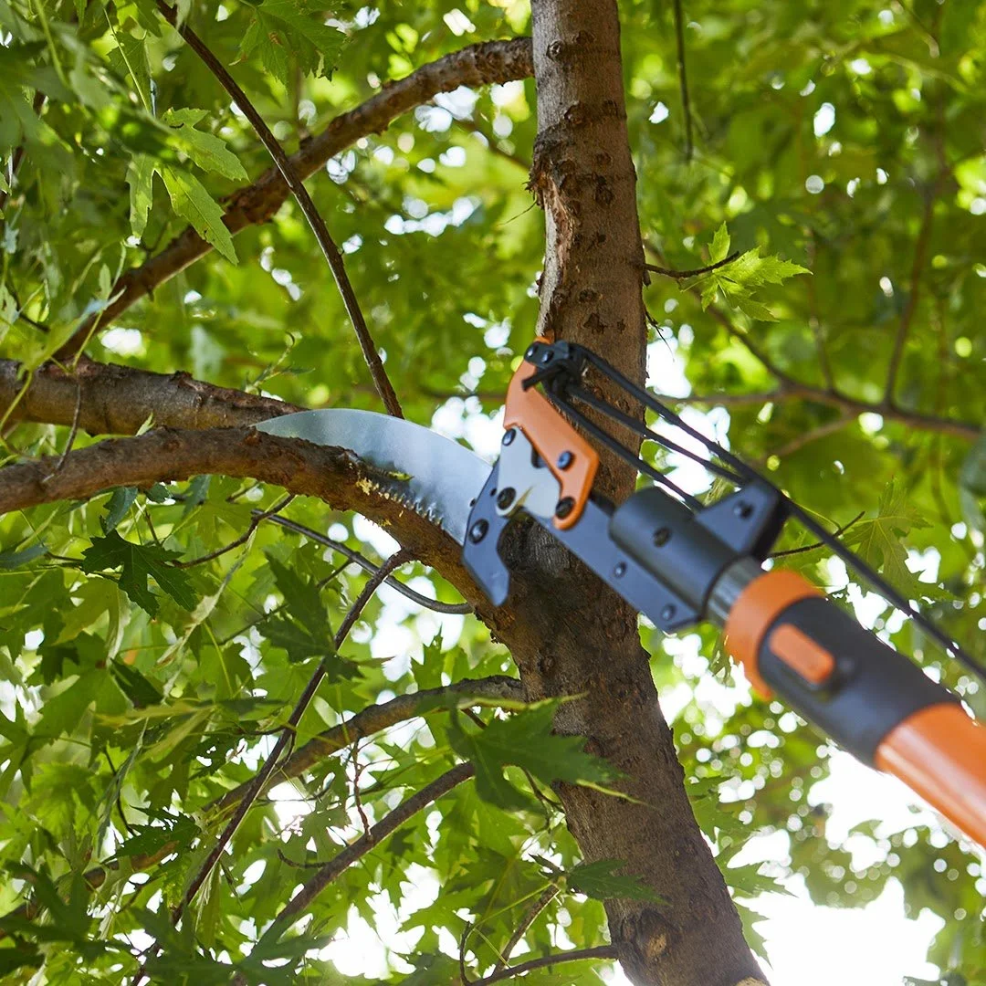 Tree and Bush Pruning