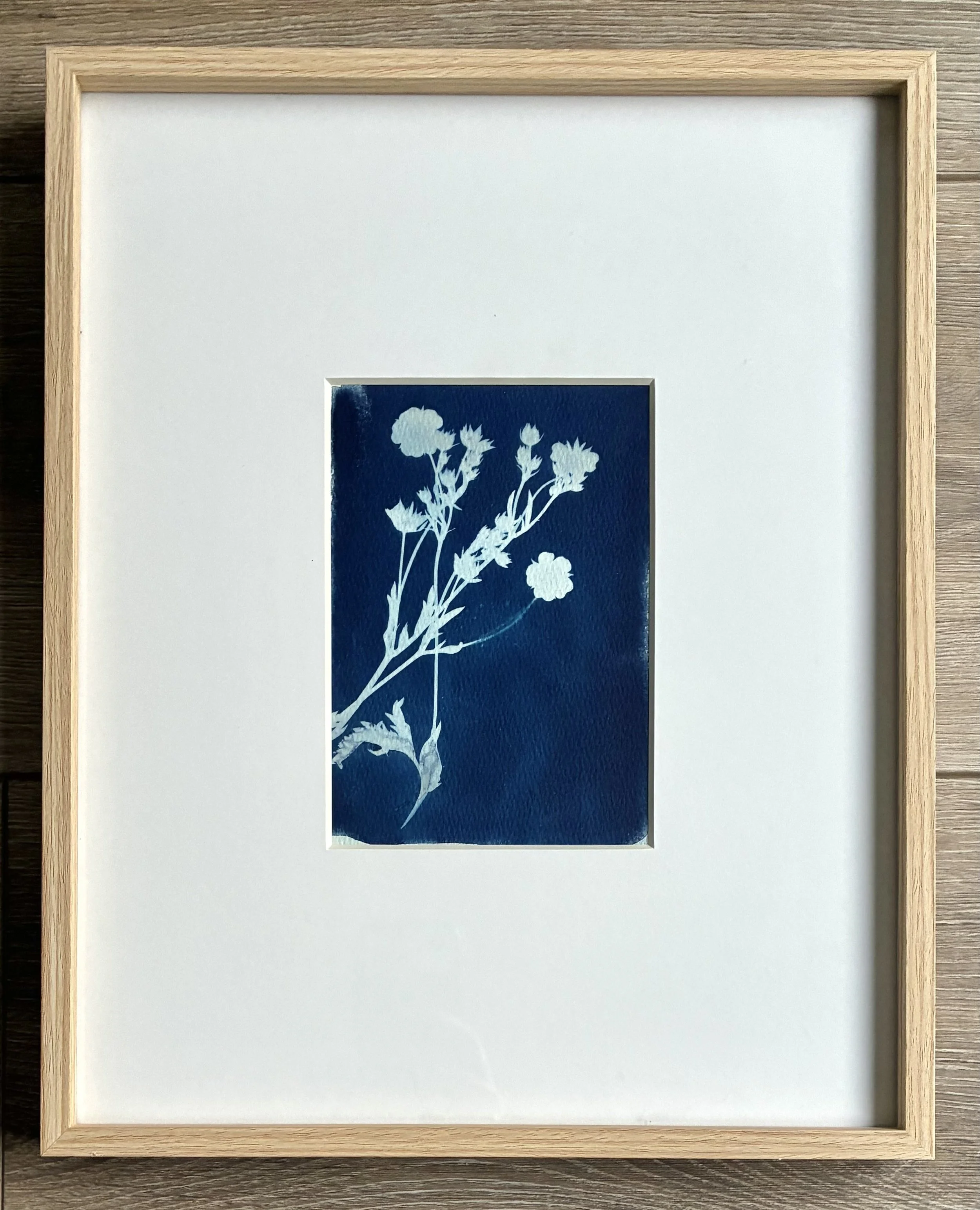 Feeling Fall Cyanotype 7