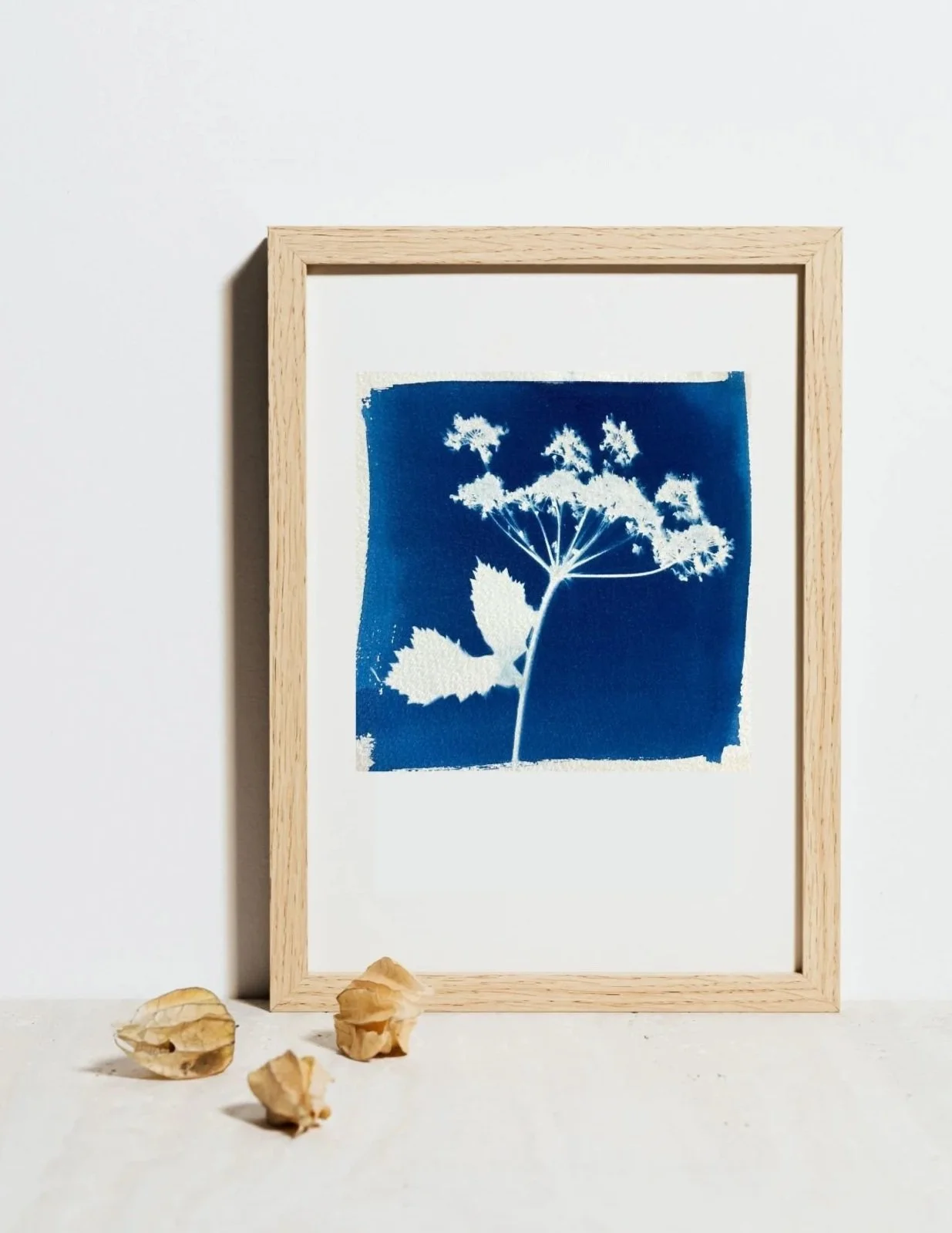 'The Beginning' Botanical Print #5