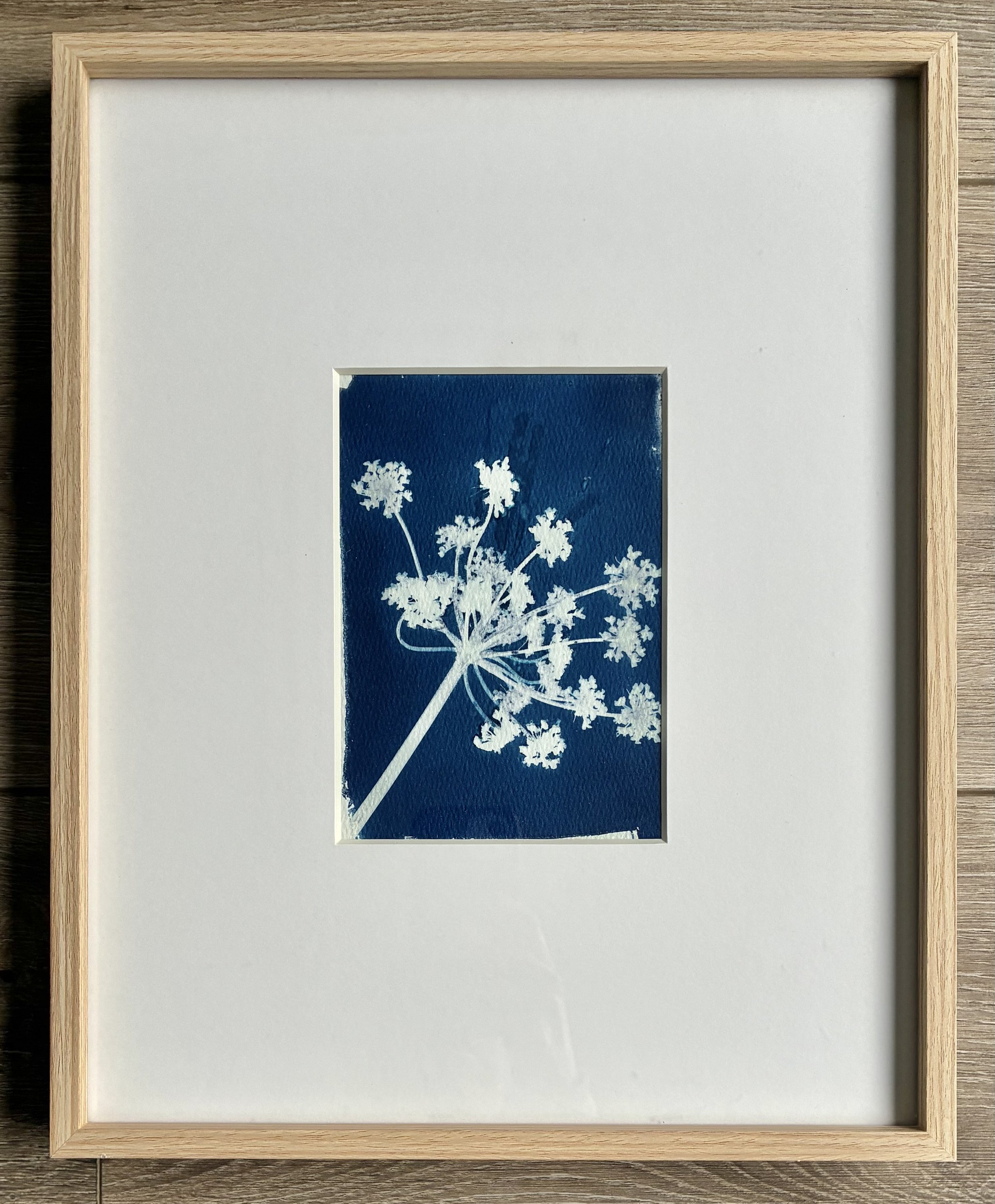 Feeling Fall Cyanotype 3