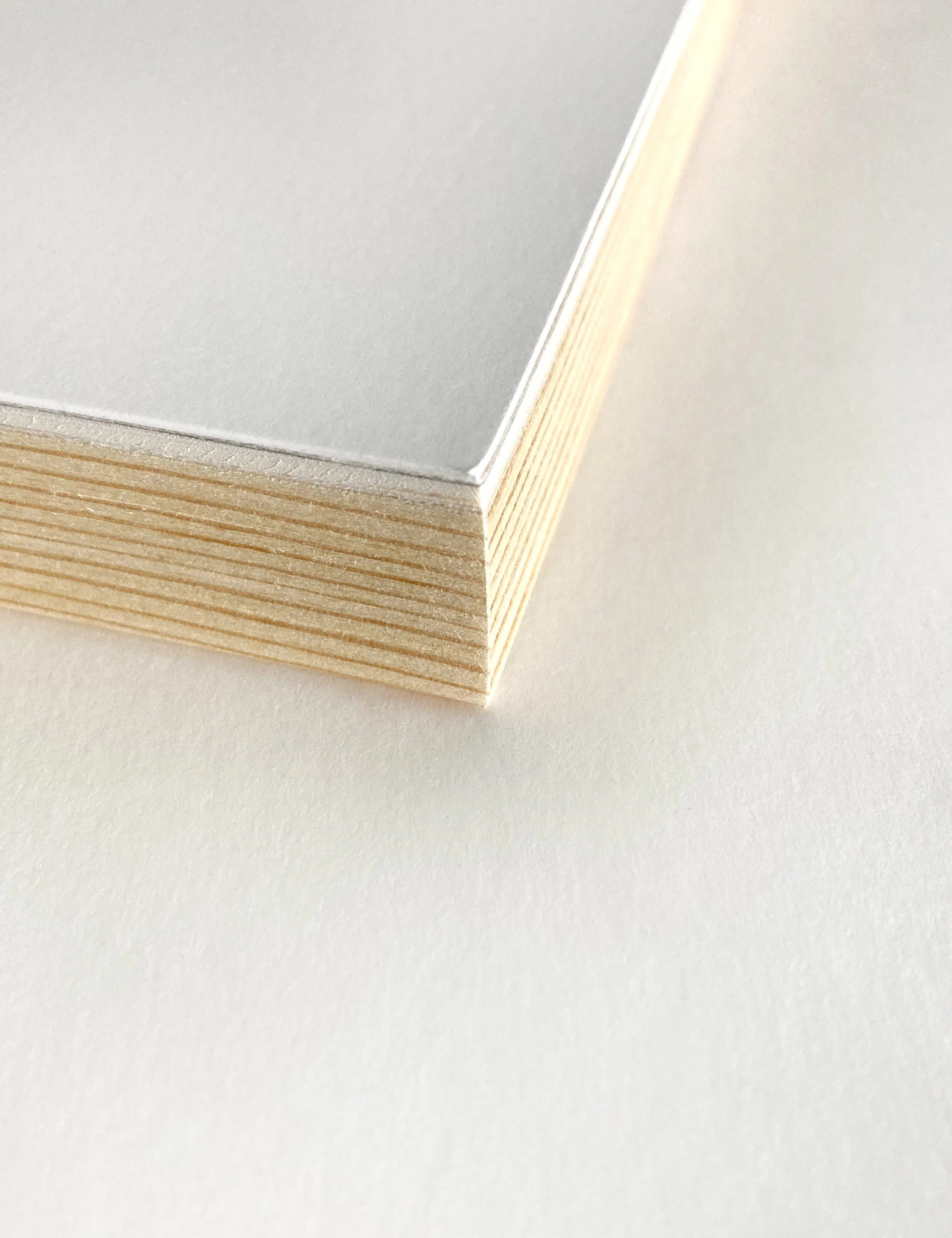 RRR Close up framing detail_2586.jpg