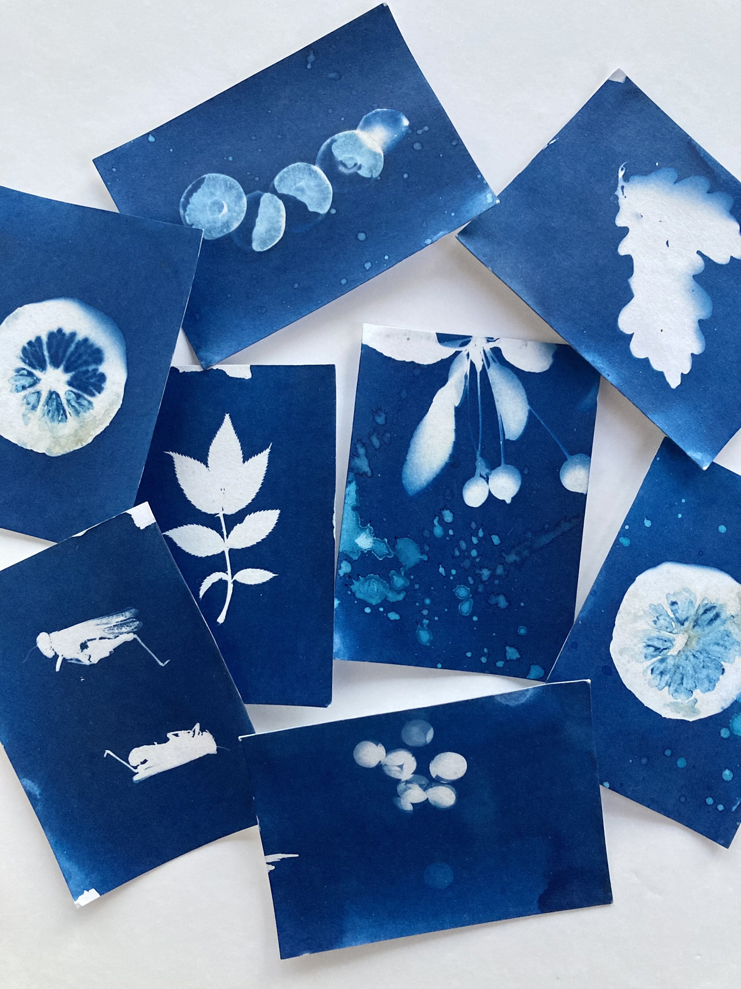 Mini Cyanotype Kit Paper Refill
