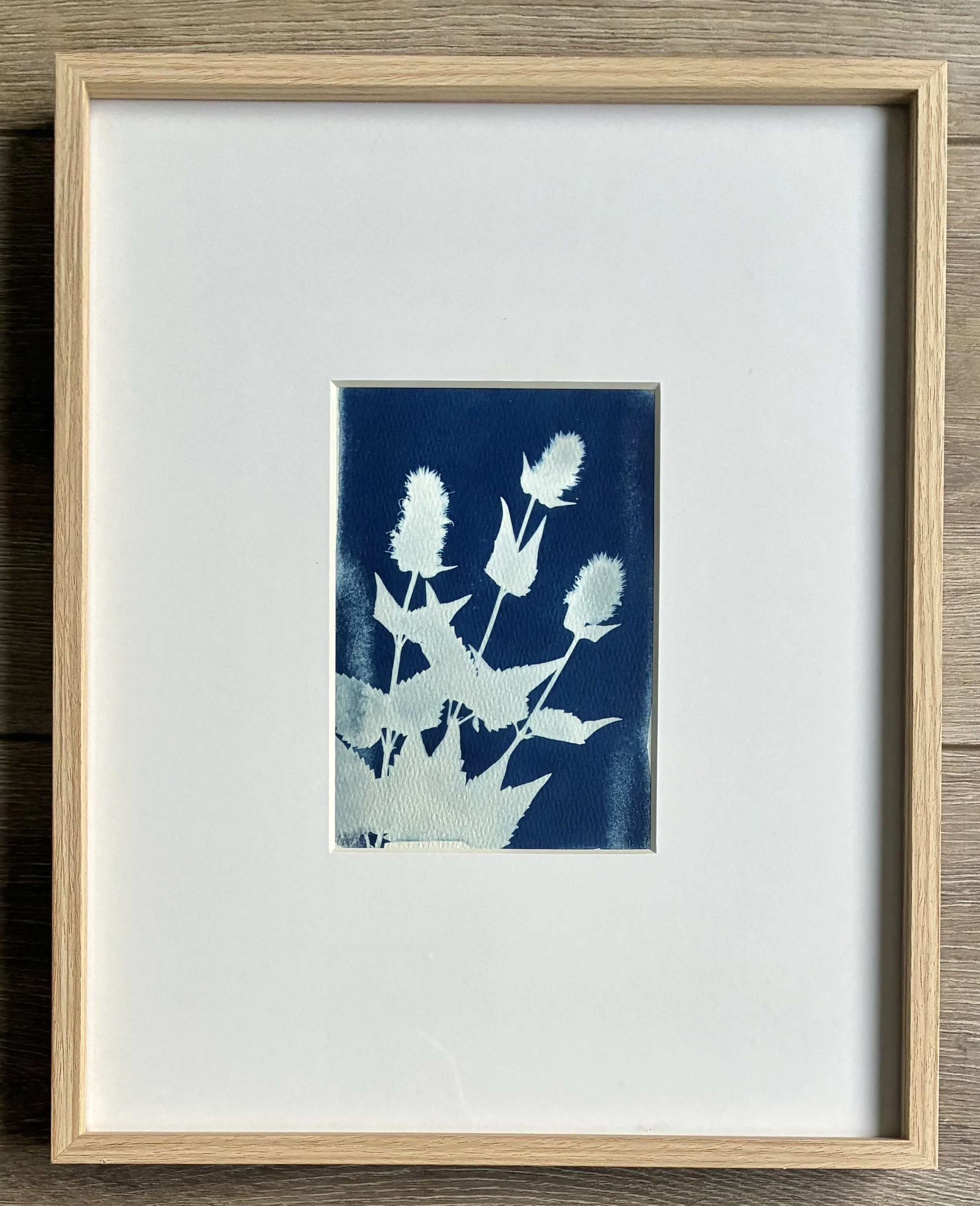 Feeling Fall Cyanotype 2