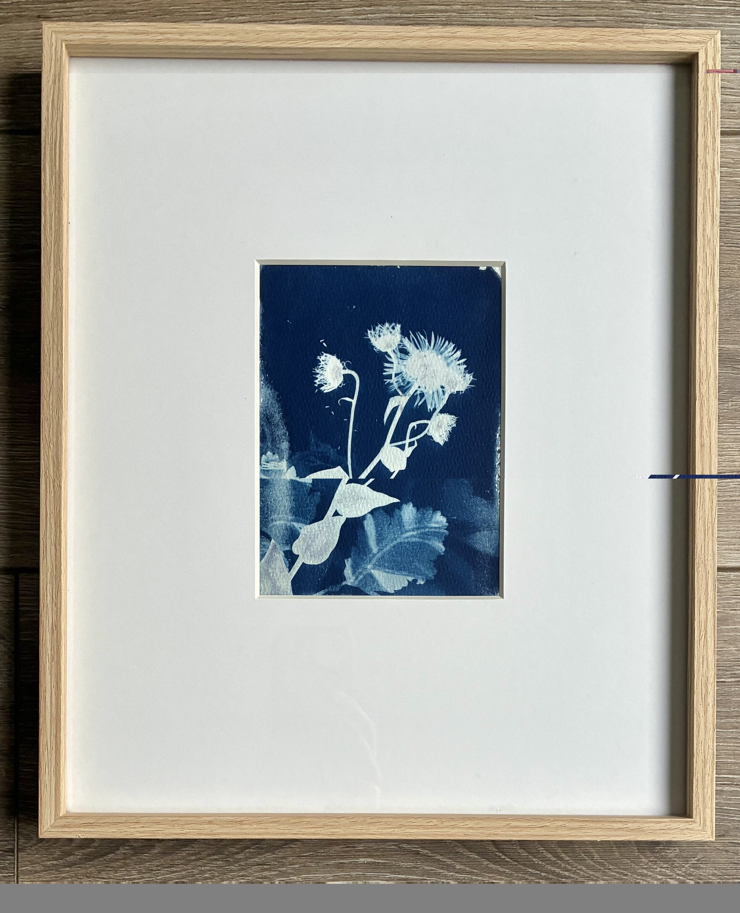 Feeling Fall Cyanotype 8